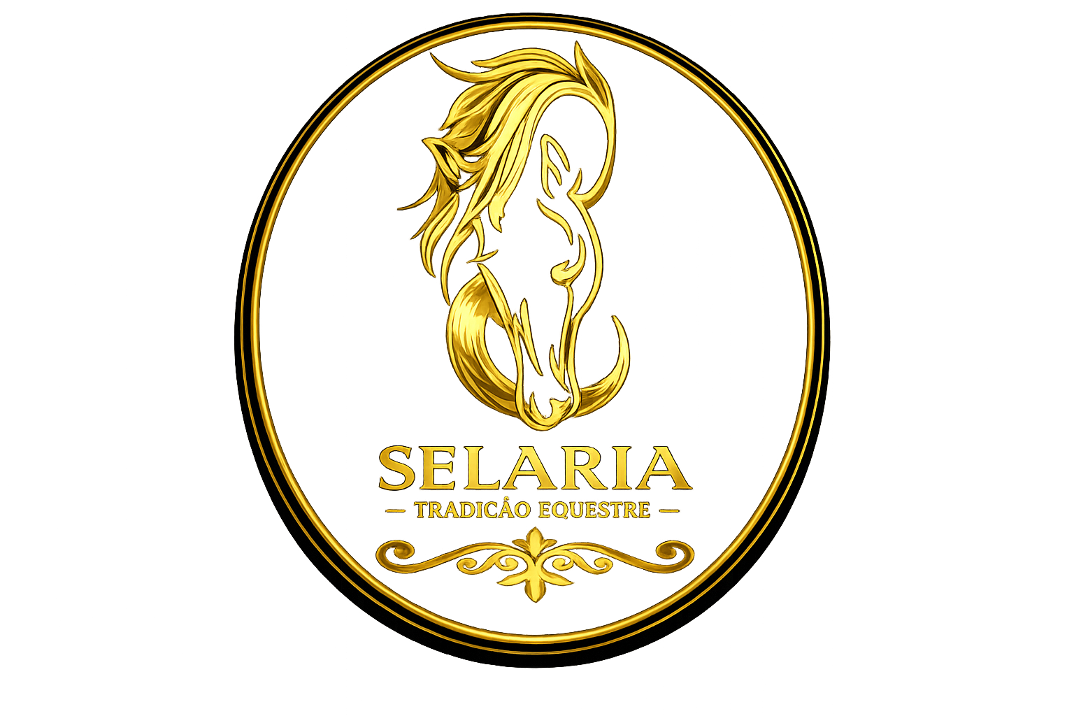 Cavalo equestre